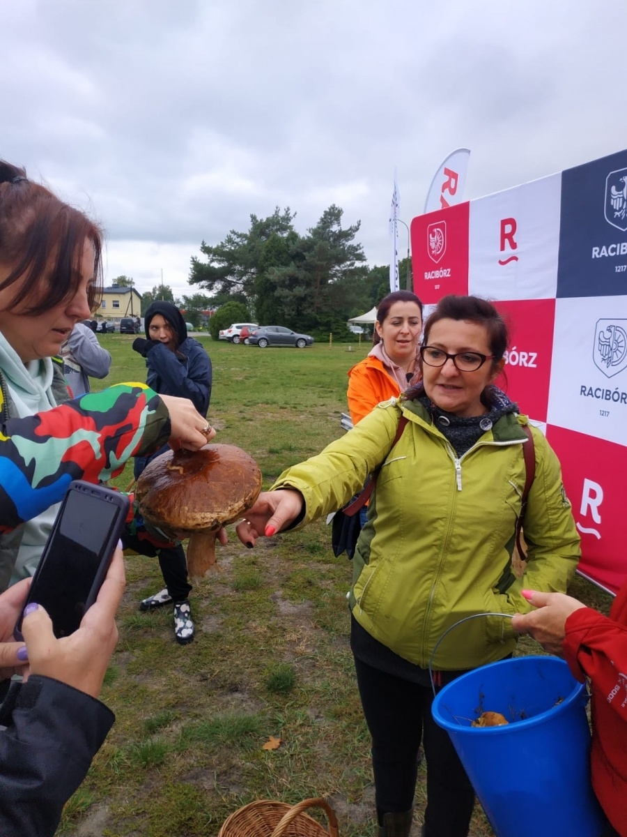 Zdjęcie w galerii na portalu naszwodzislaw.com: Znamy nowych mistrzów grzybobrania wiadomości z regionu