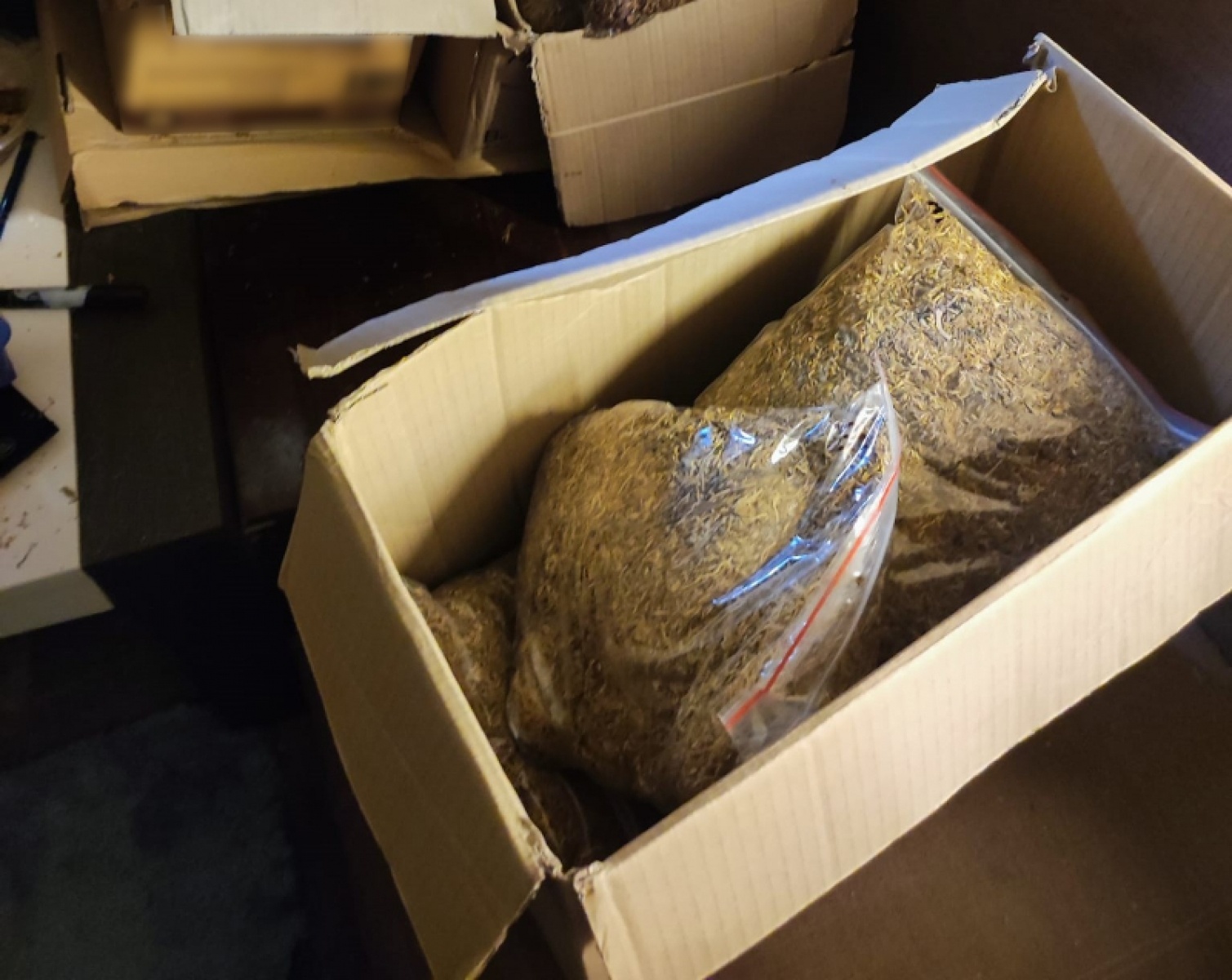 Zdjęcie w galerii na portalu naszwodzislaw.com: Śląscy pogranicznicy ujawnili nielegalne wyroby akcyzowe wiadomości z regionu