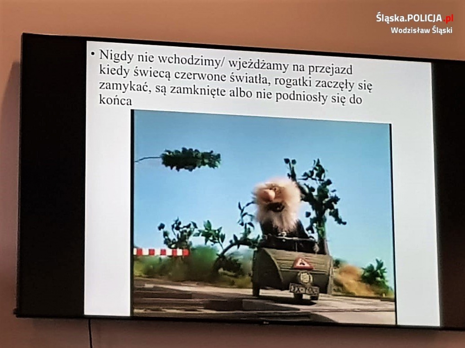 Zdjęcie w galerii na portalu naszwodzislaw.com: Bezpieczny przejazd z wodzisławskimi policjantami wiadomości z regionu