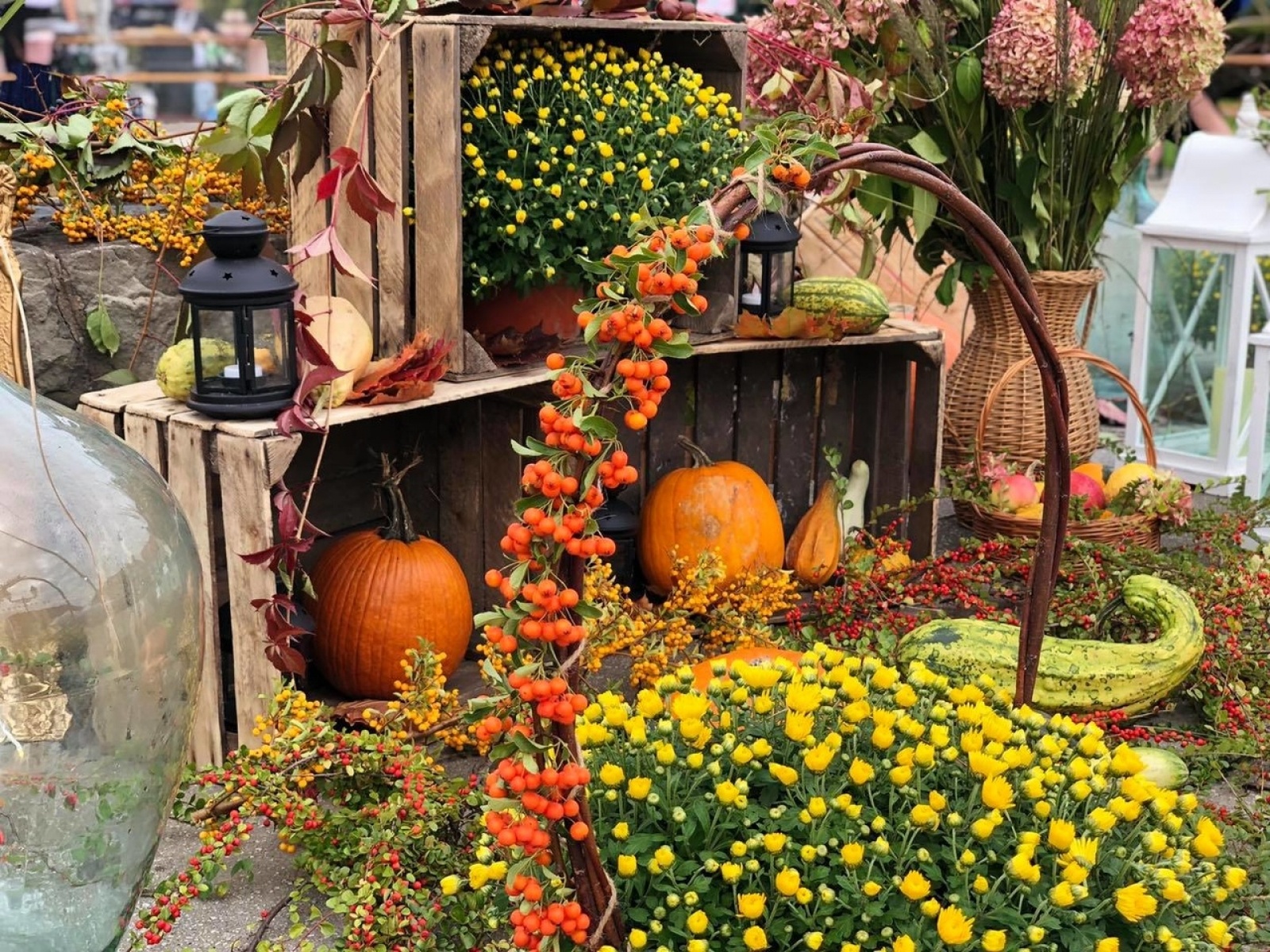 Zdjęcie w galerii na portalu naszwodzislaw.com: DzieJesie(ń) Festiwal. Wyjątkowe wydarzenie w Wodzisławiu Śląskim [FOTO] wiadomości z regionu