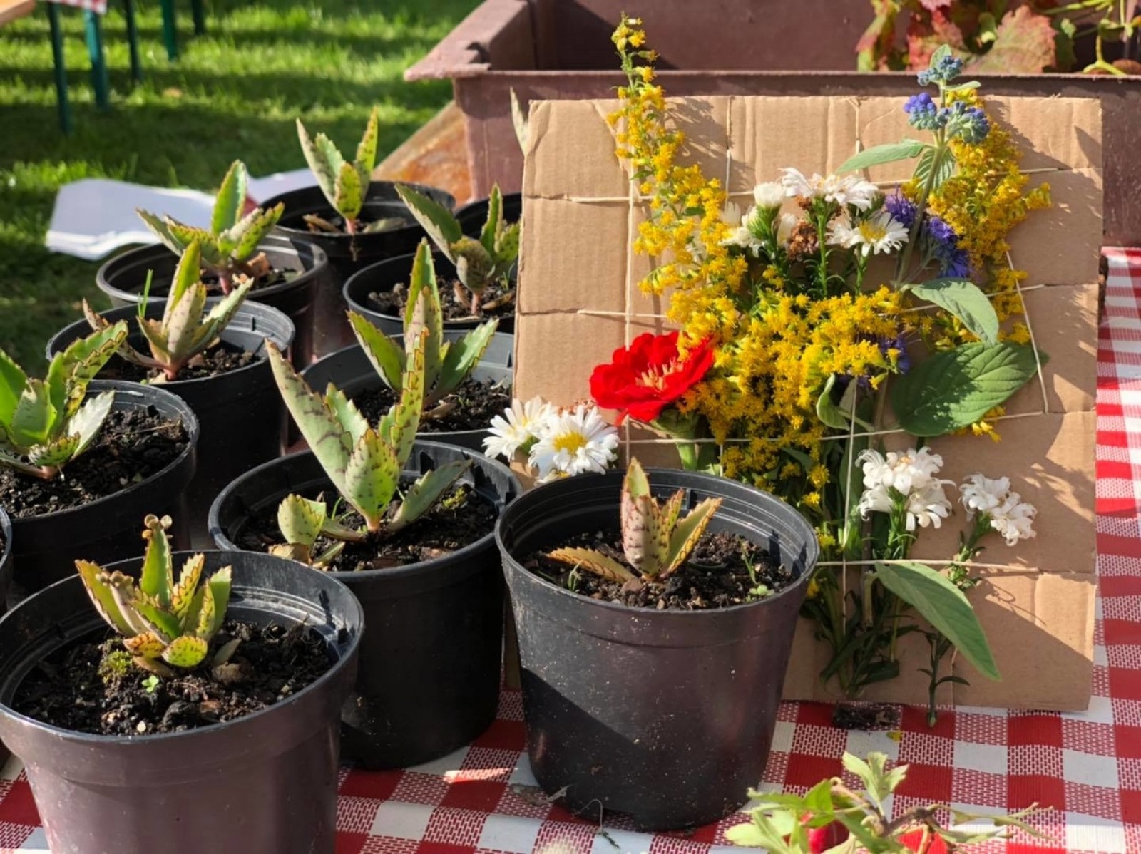 Zdjęcie w galerii na portalu naszwodzislaw.com: DzieJesie(ń) Festiwal. Wyjątkowe wydarzenie w Wodzisławiu Śląskim [FOTO] wiadomości z regionu