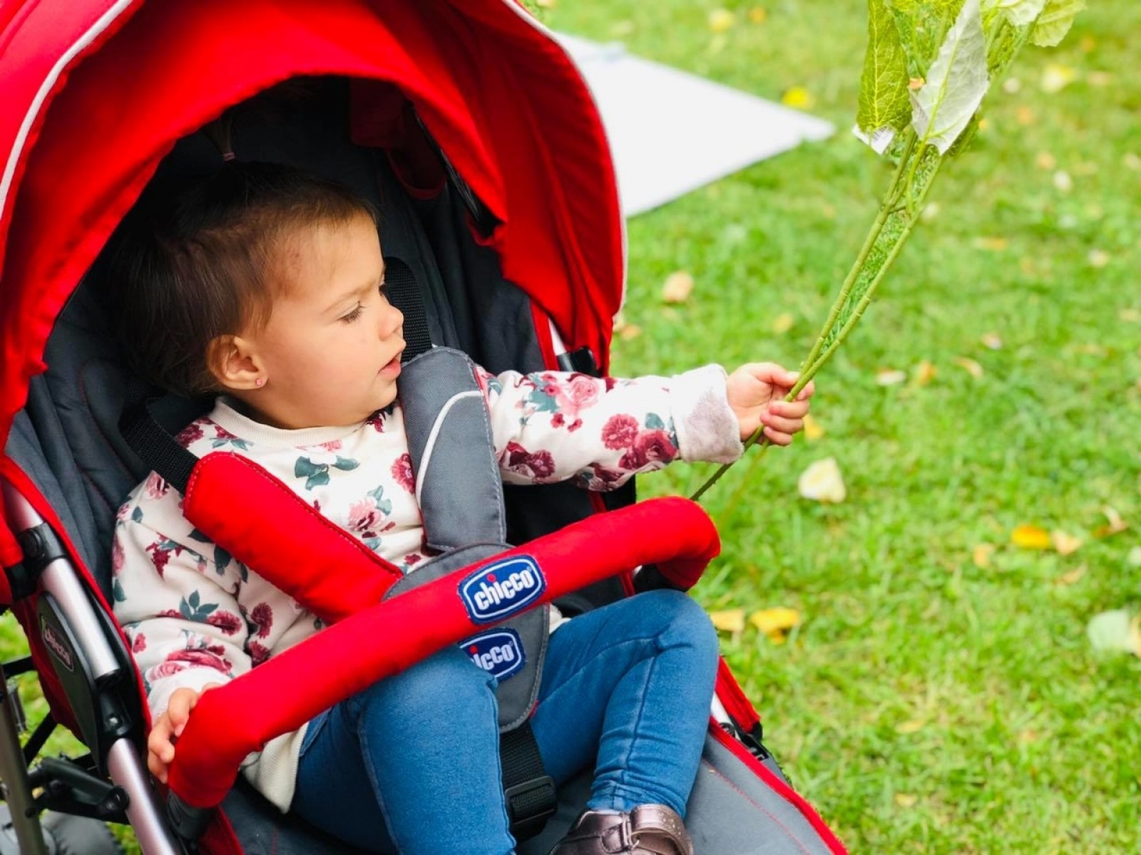 Zdjęcie w galerii na portalu naszwodzislaw.com: DzieJesie(ń) Festiwal. Wyjątkowe wydarzenie w Wodzisławiu Śląskim [FOTO] wiadomości z regionu
