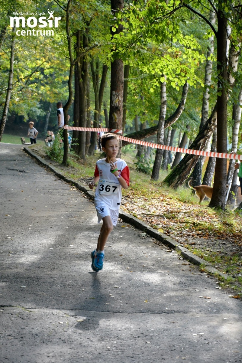 Zdjęcie w galerii na portalu naszwodzislaw.com: Za nami 12. Błękitna Wstęga Balatonu [FOTO] wiadomości z regionu