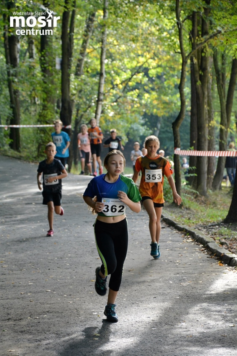 Zdjęcie w galerii na portalu naszwodzislaw.com: Za nami 12. Błękitna Wstęga Balatonu [FOTO] wiadomości z regionu