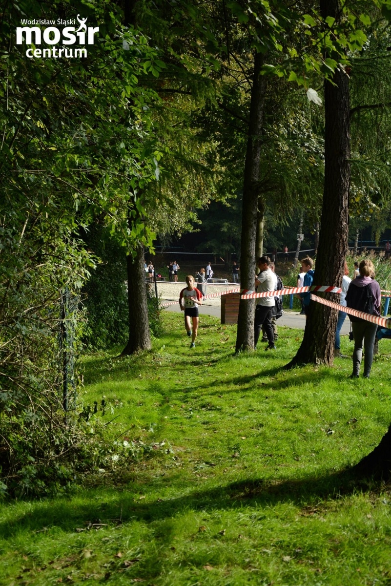 Zdjęcie w galerii na portalu naszwodzislaw.com: Za nami 12. Błękitna Wstęga Balatonu [FOTO] wiadomości z regionu