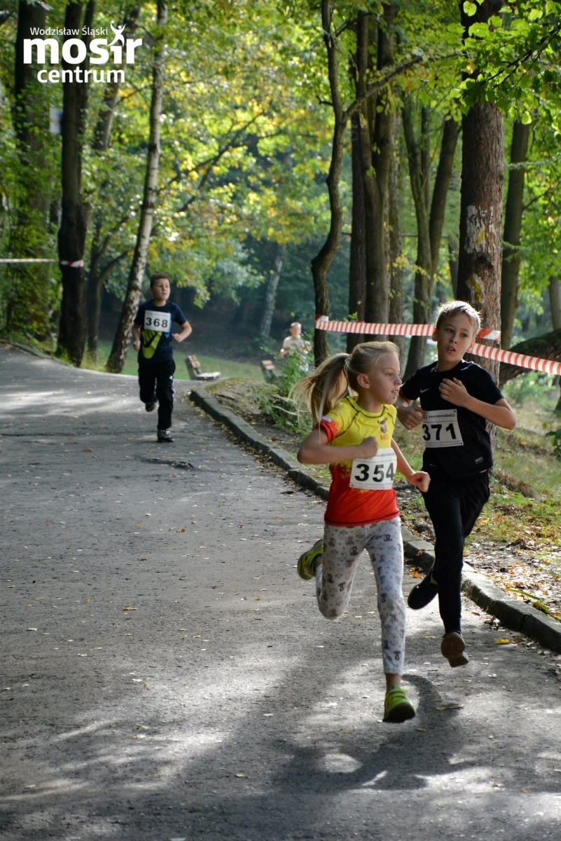 Zdjęcie w galerii na portalu naszwodzislaw.com: Za nami 12. Błękitna Wstęga Balatonu [FOTO] wiadomości z regionu
