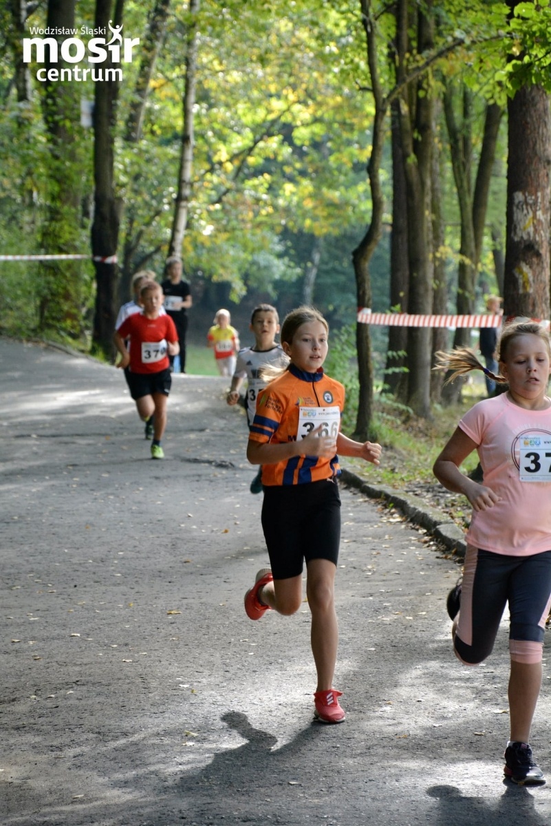 Zdjęcie w galerii na portalu naszwodzislaw.com: Za nami 12. Błękitna Wstęga Balatonu [FOTO] wiadomości z regionu