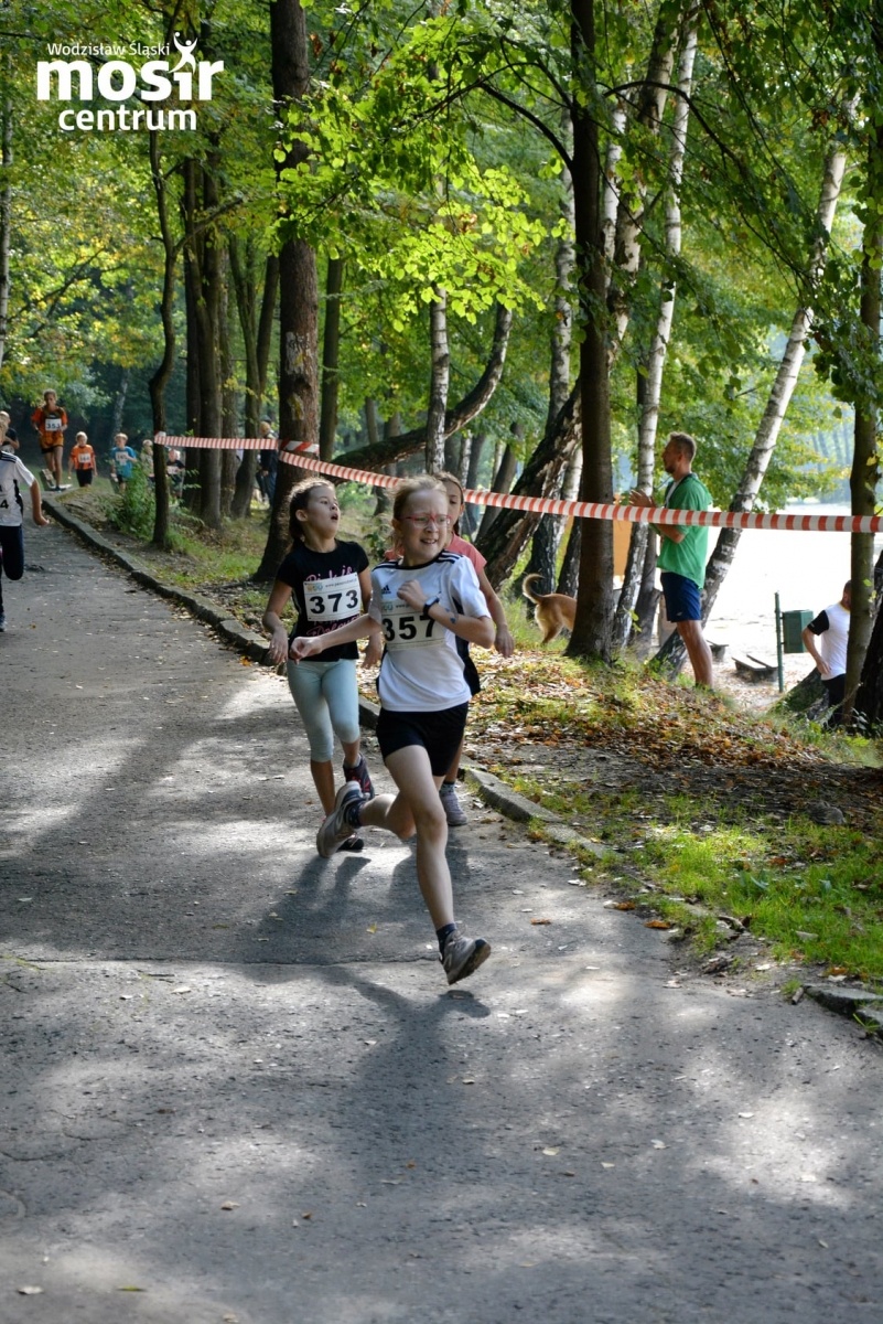 Zdjęcie w galerii na portalu naszwodzislaw.com: Za nami 12. Błękitna Wstęga Balatonu [FOTO] wiadomości z regionu