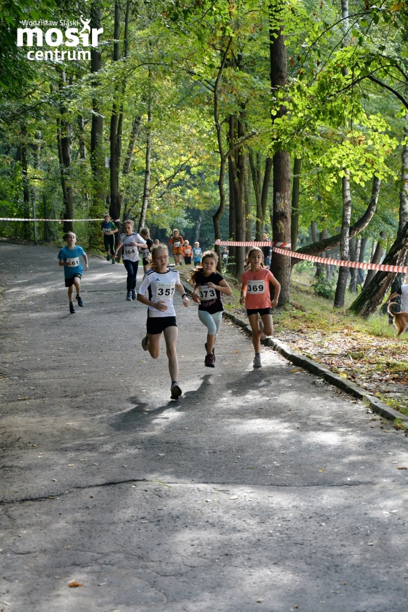 Zdjęcie w galerii na portalu naszwodzislaw.com: Za nami 12. Błękitna Wstęga Balatonu [FOTO] wiadomości z regionu