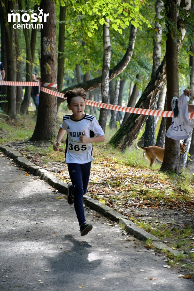 Zdjęcie w galerii na portalu naszwodzislaw.com: Za nami 12. Błękitna Wstęga Balatonu [FOTO] wiadomości z regionu