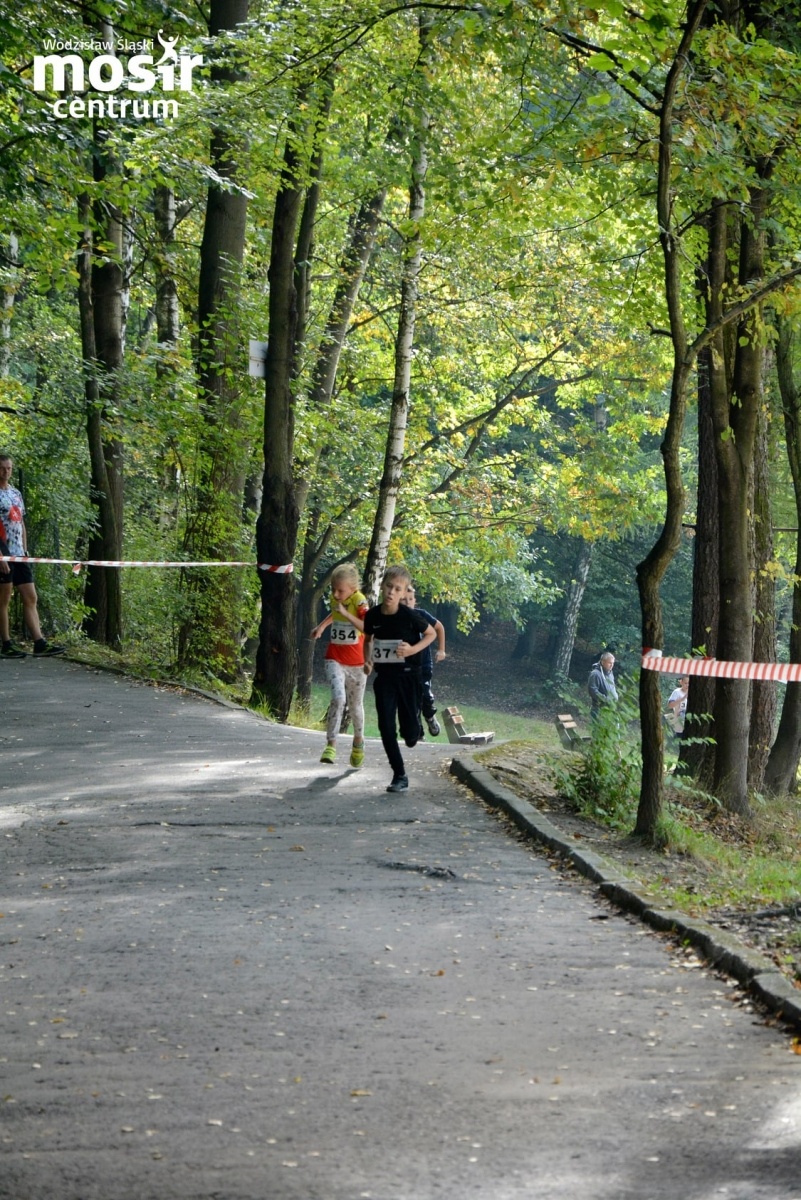 Zdjęcie w galerii na portalu naszwodzislaw.com: Za nami 12. Błękitna Wstęga Balatonu [FOTO] wiadomości z regionu