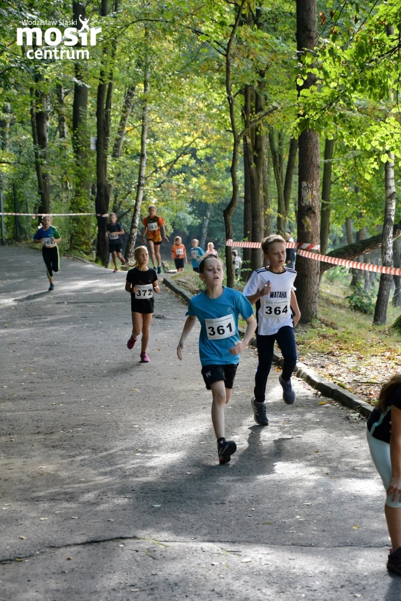 Zdjęcie w galerii na portalu naszwodzislaw.com: Za nami 12. Błękitna Wstęga Balatonu [FOTO] wiadomości z regionu