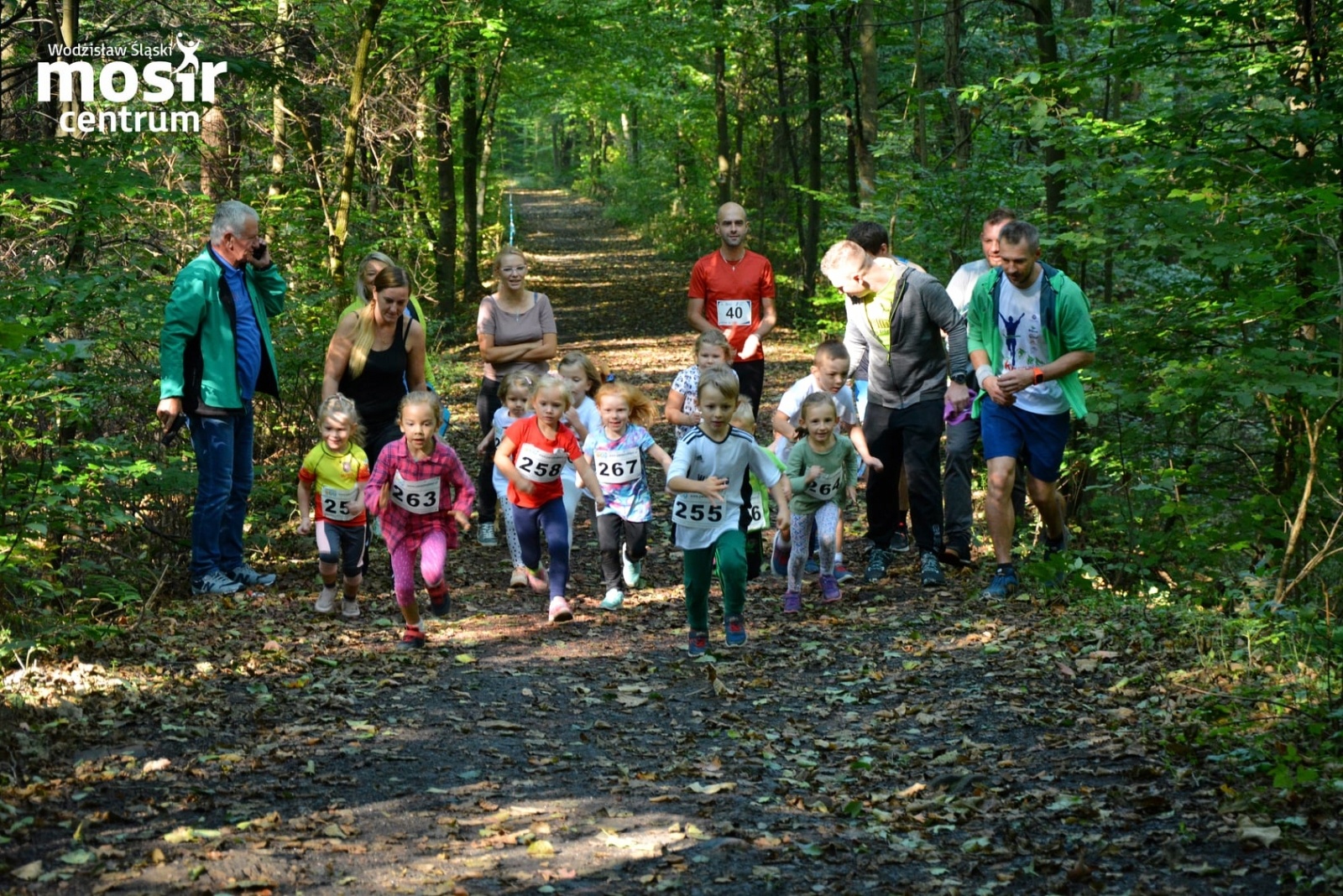 Zdjęcie w galerii na portalu naszwodzislaw.com: Za nami 12. Błękitna Wstęga Balatonu [FOTO] wiadomości z regionu