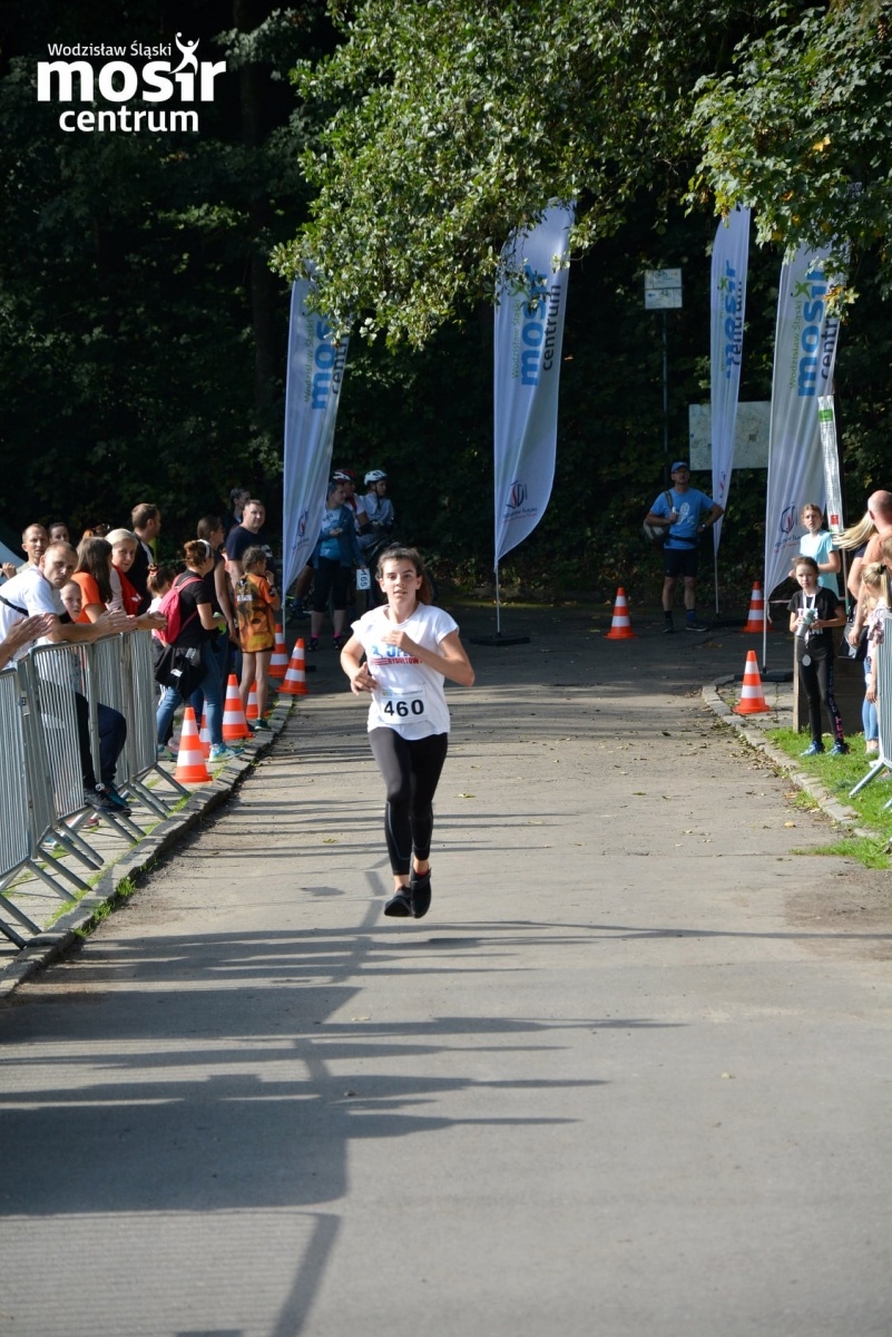 Zdjęcie w galerii na portalu naszwodzislaw.com: Za nami 12. Błękitna Wstęga Balatonu [FOTO] wiadomości z regionu