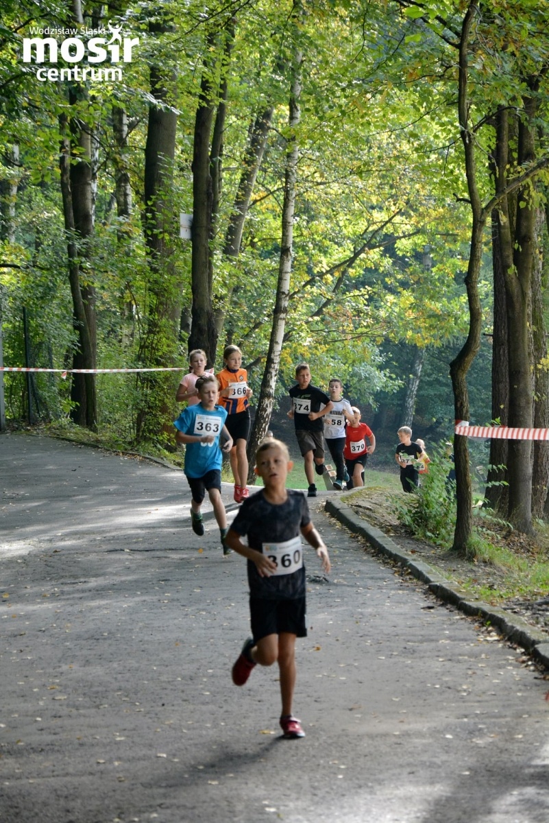 Zdjęcie w galerii na portalu naszwodzislaw.com: Za nami 12. Błękitna Wstęga Balatonu [FOTO] wiadomości z regionu