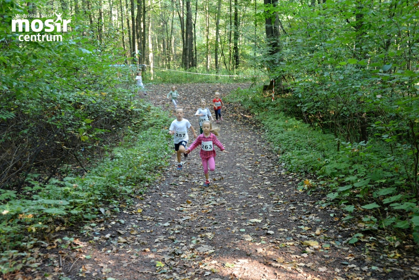 Zdjęcie w galerii na portalu naszwodzislaw.com: Za nami 12. Błękitna Wstęga Balatonu [FOTO] wiadomości z regionu