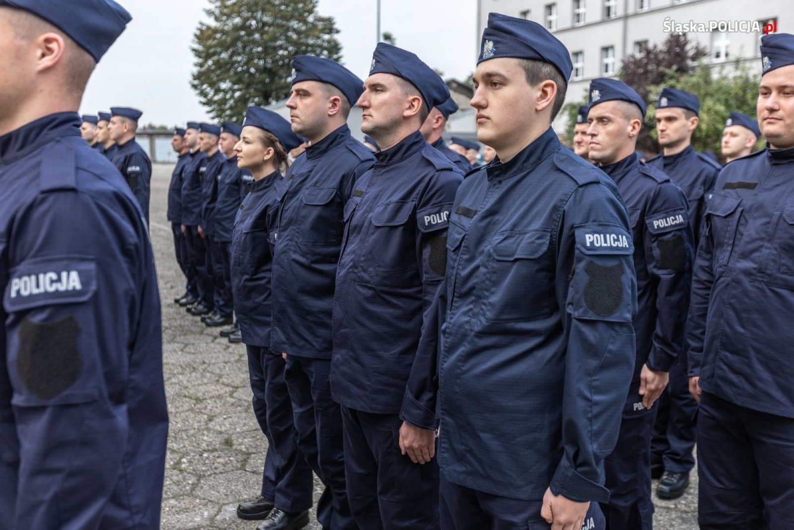 Zdjęcie w galerii na portalu naszwodzislaw.com: Ponad stu nowych śląskich policjantów złożyło ślubowanie wiadomości z regionu