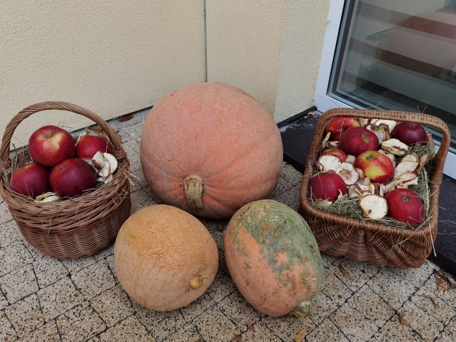 Zdjęcie w galerii na portalu naszwodzislaw.com: Festyn jesienny w Oazie Aktywności za nami [FOTO] wiadomości z regionu