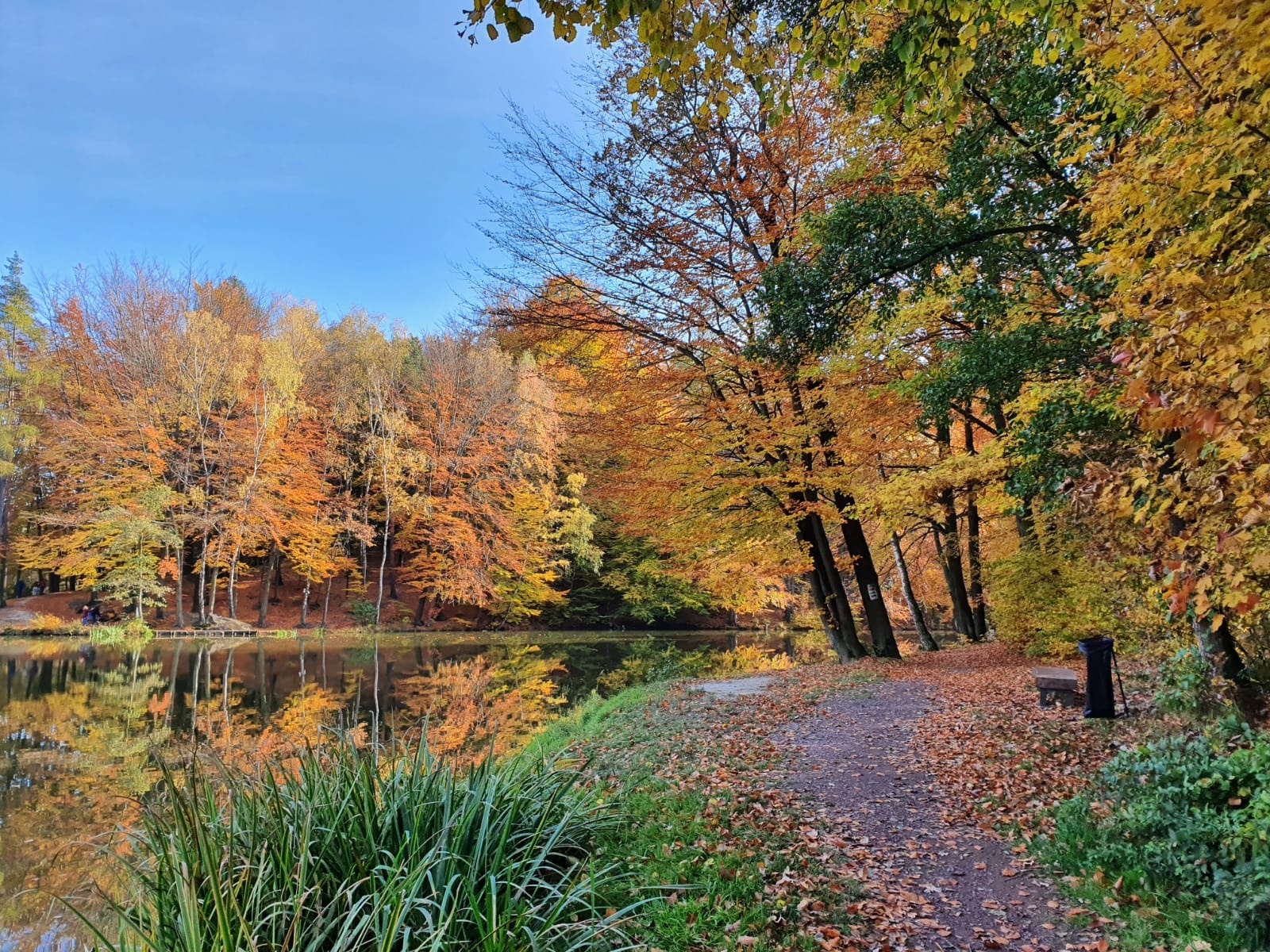 Zdjęcie w galerii na portalu naszwodzislaw.com: Miasto Wodzisław Śląski z pieniędzmi na modernizację Balatonu wiadomości z regionu