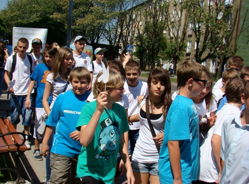 Zdjęcie w galerii na portalu naszwodzislaw.com: Dzisiaj każdy miał gołębia wiadomości z regionu