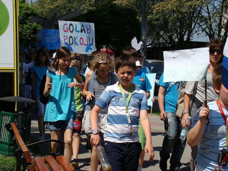 Zdjęcie w galerii na portalu naszwodzislaw.com: Dzisiaj każdy miał gołębia wiadomości z regionu