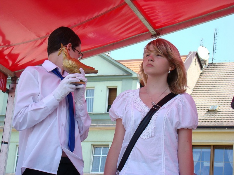 Zdjęcie w galerii na portalu naszwodzislaw.com: Dzisiaj każdy miał gołębia wiadomości z regionu