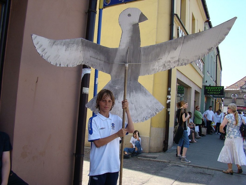 Zdjęcie w galerii na portalu naszwodzislaw.com: Dzisiaj każdy miał gołębia wiadomości z regionu