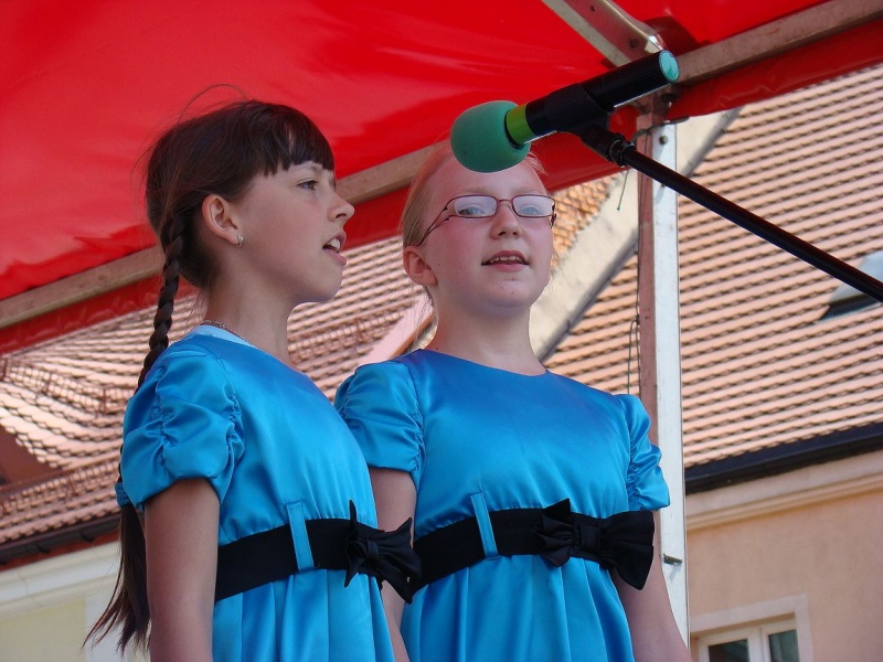 Zdjęcie w galerii na portalu naszwodzislaw.com: Dzisiaj każdy miał gołębia wiadomości z regionu