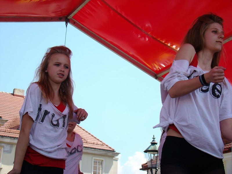 Zdjęcie w galerii na portalu naszwodzislaw.com: Dzisiaj każdy miał gołębia wiadomości z regionu