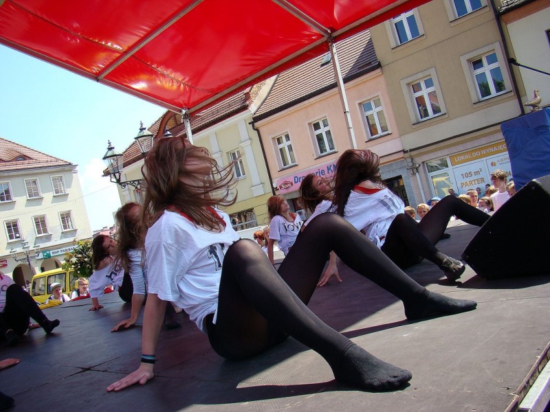 Zdjęcie w galerii na portalu naszwodzislaw.com: Dzisiaj każdy miał gołębia wiadomości z regionu