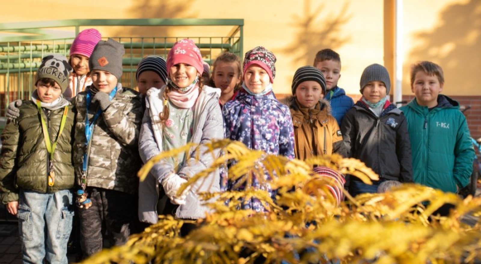 Zdjęcie w galerii na portalu naszwodzislaw.com: Październik miesiącem lasów. ZSP 5 podsumował akcję wiadomości z regionu