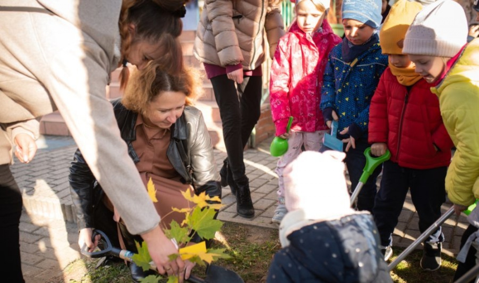 Zdjęcie w galerii na portalu naszwodzislaw.com: Październik miesiącem lasów. ZSP 5 podsumował akcję wiadomości z regionu