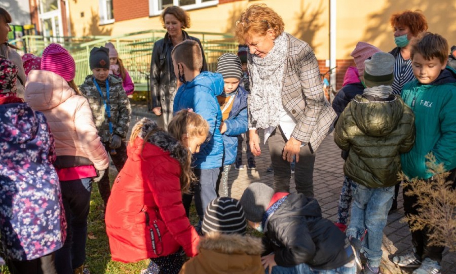 Zdjęcie w galerii na portalu naszwodzislaw.com: Październik miesiącem lasów. ZSP 5 podsumował akcję wiadomości z regionu