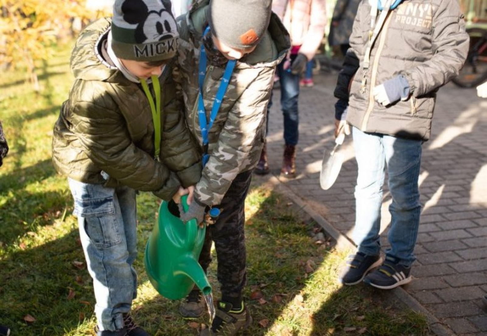 Zdjęcie w galerii na portalu naszwodzislaw.com: Październik miesiącem lasów. ZSP 5 podsumował akcję wiadomości z regionu