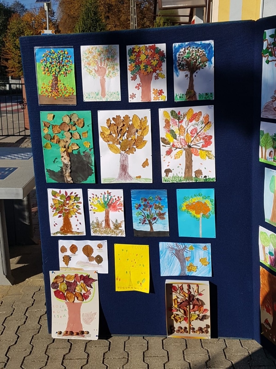 Zdjęcie w galerii na portalu naszwodzislaw.com: Październik miesiącem lasów. ZSP 5 podsumował akcję wiadomości z regionu