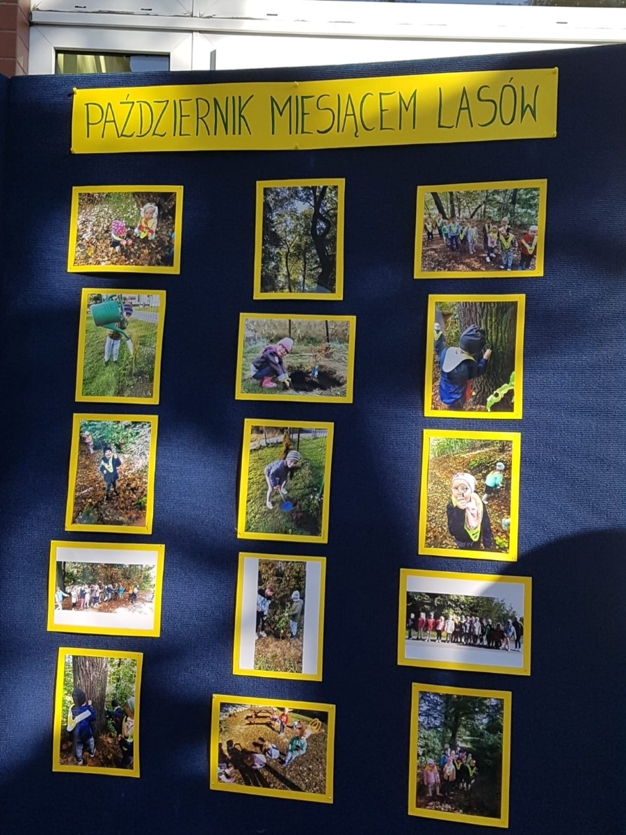Zdjęcie w galerii na portalu naszwodzislaw.com: Październik miesiącem lasów. ZSP 5 podsumował akcję wiadomości z regionu