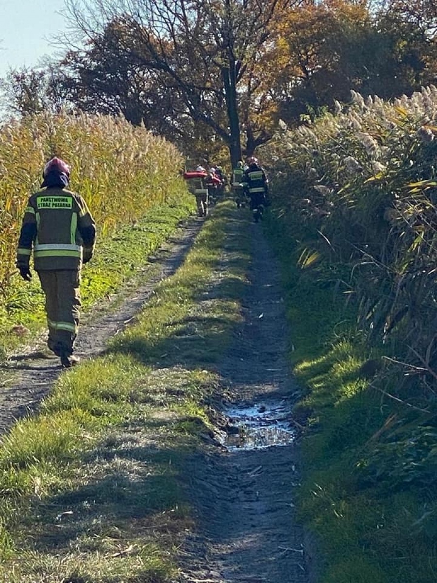 Zdjęcie w galerii na portalu naszwodzislaw.com: Jedna osoba ranna w wypadku z bryczką w Lubomi wiadomości z regionu