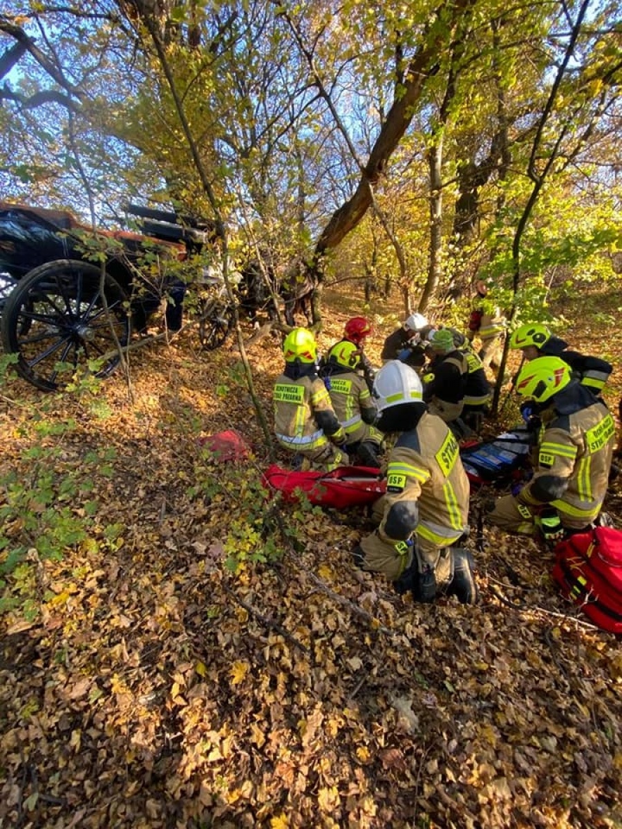 Zdjęcie w galerii na portalu naszwodzislaw.com: Jedna osoba ranna w wypadku z bryczką w Lubomi wiadomości z regionu