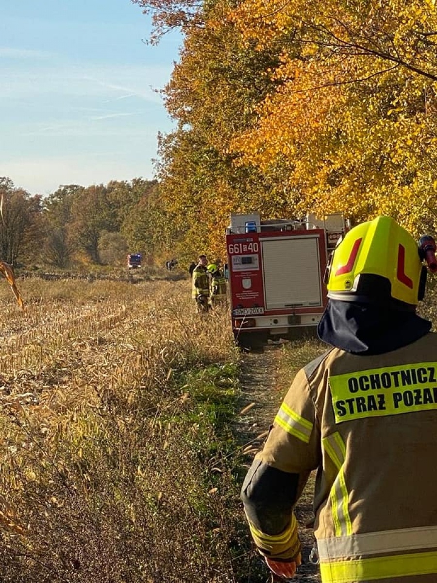 Zdjęcie w galerii na portalu naszwodzislaw.com: Jedna osoba ranna w wypadku z bryczką w Lubomi wiadomości z regionu