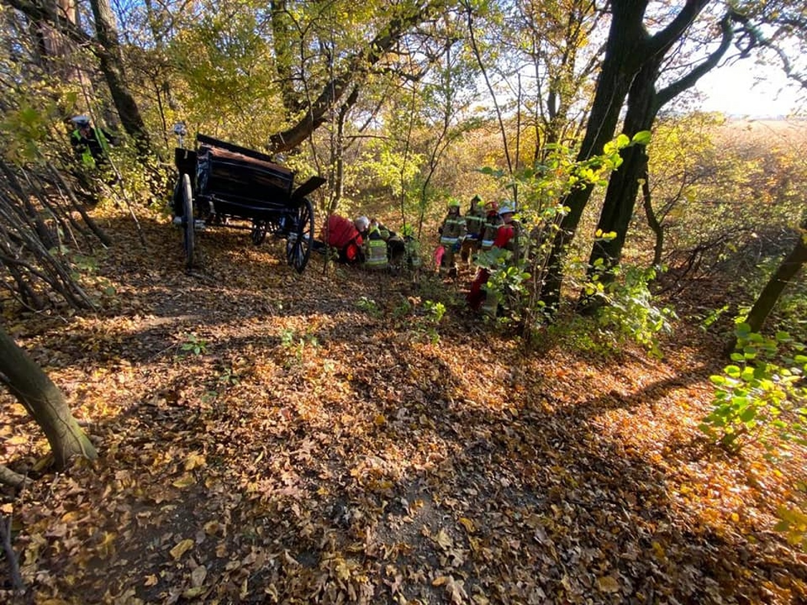 Zdjęcie w galerii na portalu naszwodzislaw.com: Jedna osoba ranna w wypadku z bryczką w Lubomi wiadomości z regionu