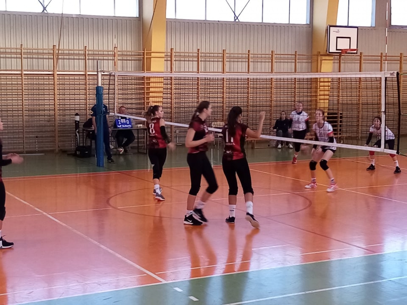 Zdjęcie w galerii na portalu naszwodzislaw.com: Siatkarki wodzisławskiej Zorzy w gazie wiadomości z regionu