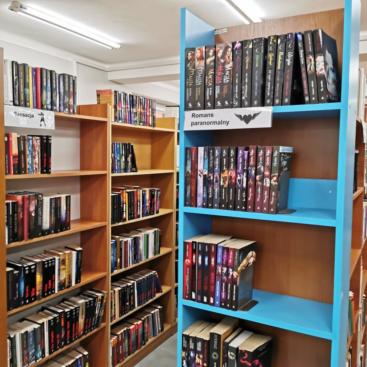 Zdjęcie w galerii na portalu naszwodzislaw.com: Alpaki i konkursy na otwarciu po remoncie biblioteki w Mszanie [FOTO] wiadomości z regionu