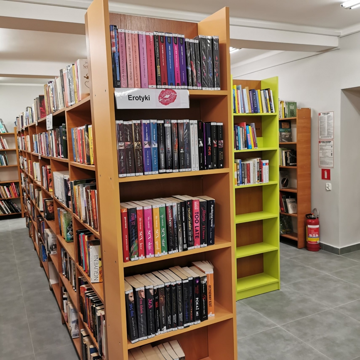 Zdjęcie w galerii na portalu naszwodzislaw.com: Alpaki i konkursy na otwarciu po remoncie biblioteki w Mszanie [FOTO] wiadomości z regionu