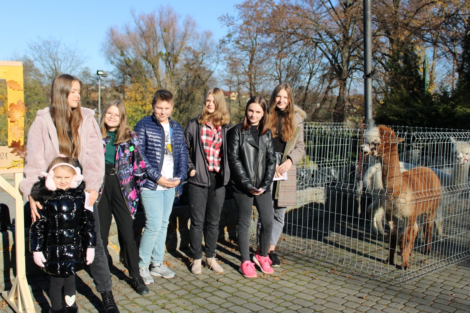 Zdjęcie w galerii na portalu naszwodzislaw.com: Alpaki i konkursy na otwarciu po remoncie biblioteki w Mszanie [FOTO] wiadomości z regionu