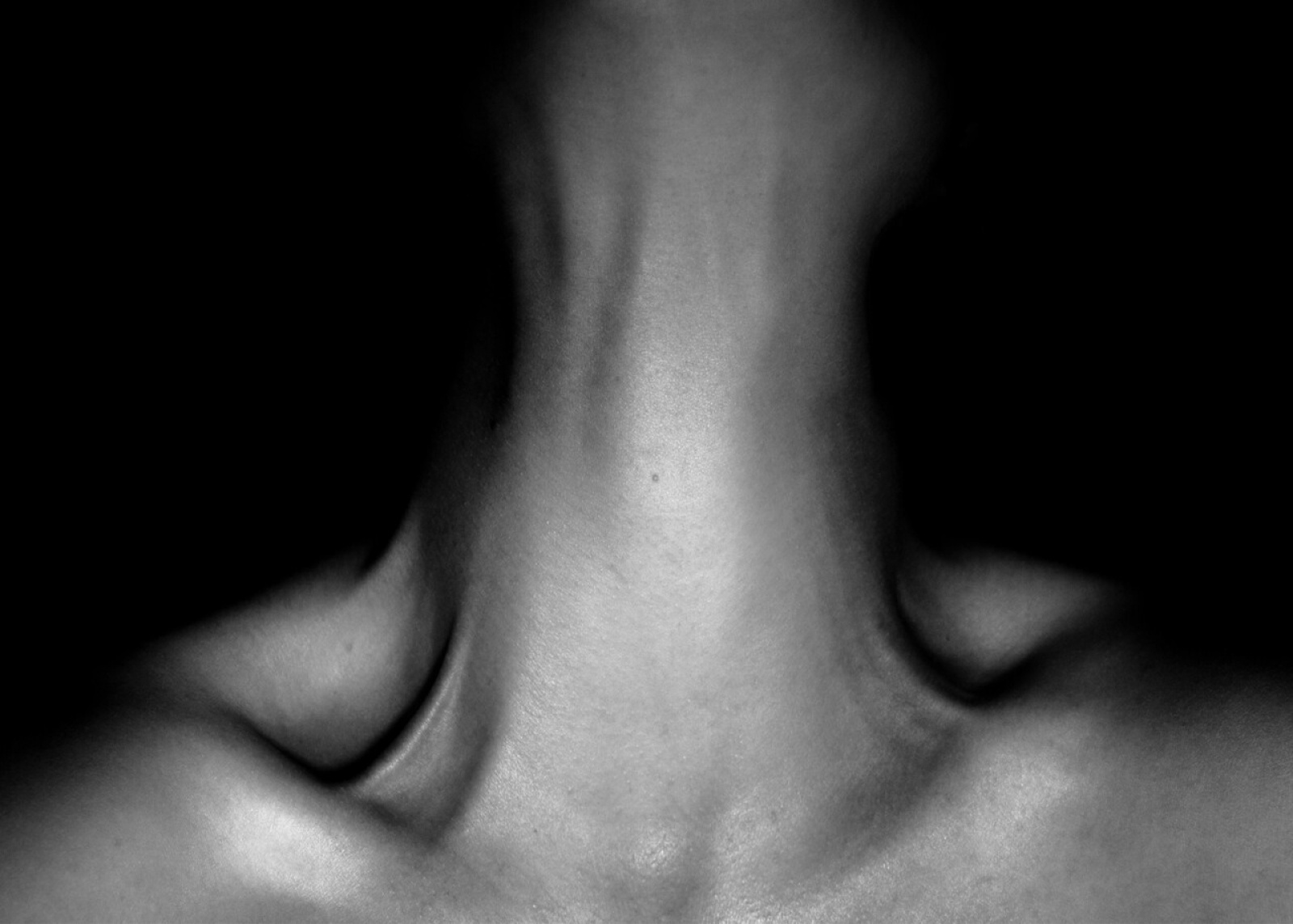 Zdjęcie w galerii na portalu naszwodzislaw.com: Spojrzenia-Vzhled. Jubileuszowa wystawa FOTONu w Opawie wiadomości z regionu