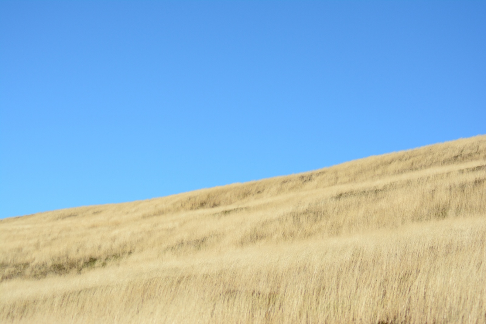 Zdjęcie w galerii na portalu naszwodzislaw.com: Spojrzenia-Vzhled. Jubileuszowa wystawa FOTONu w Opawie wiadomości z regionu