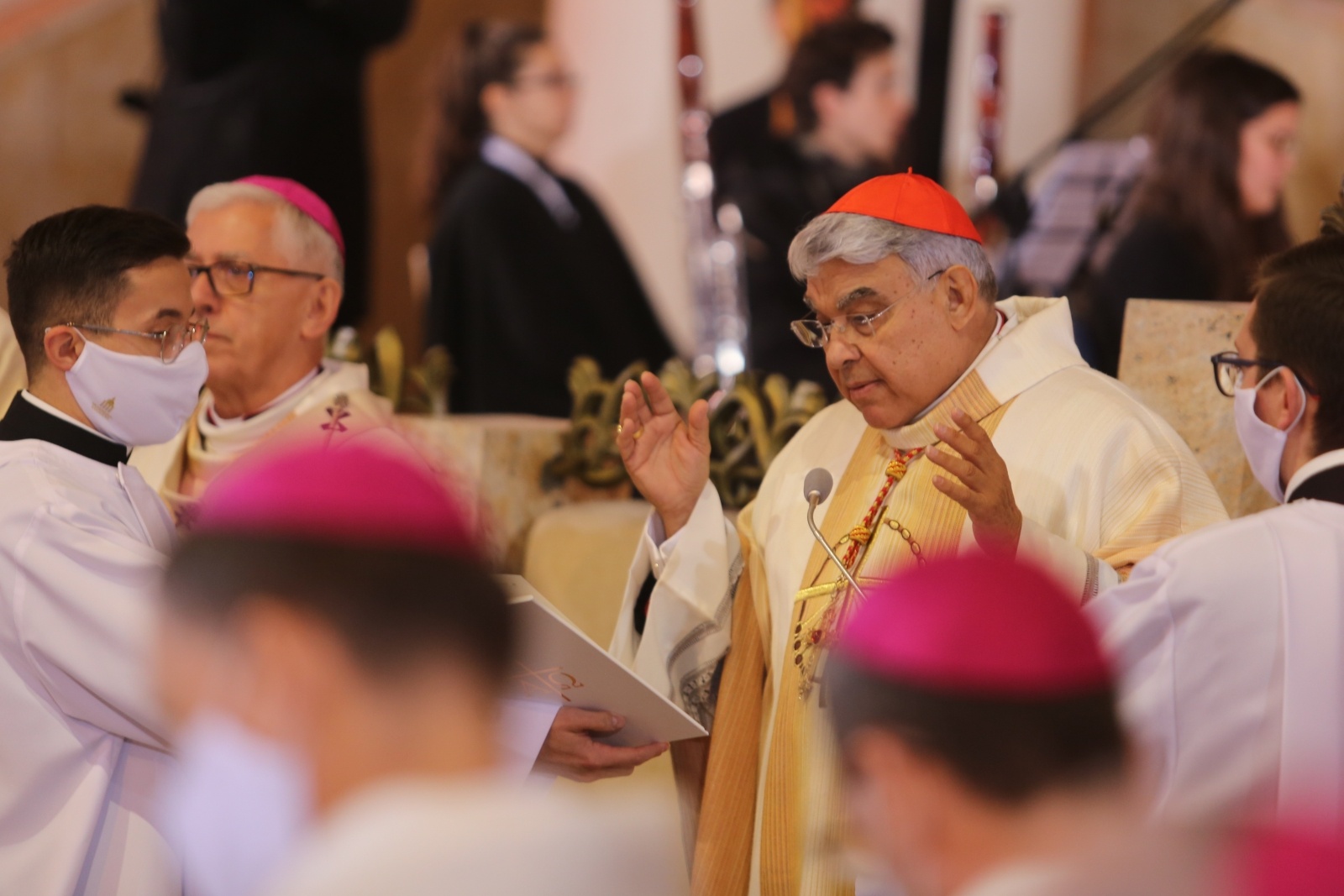 Zdjęcie w galerii na portalu naszwodzislaw.com: Ks. Jan Franciszek Macha ogłoszony błogosławionym [FOTO] wiadomości z regionu