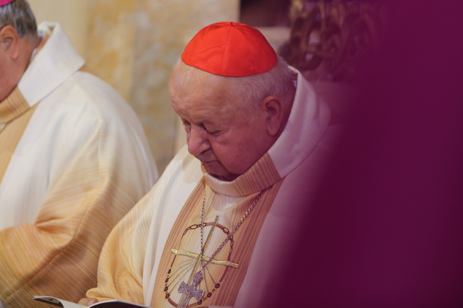 Zdjęcie w galerii na portalu naszwodzislaw.com: Ks. Jan Franciszek Macha ogłoszony błogosławionym [FOTO] wiadomości z regionu