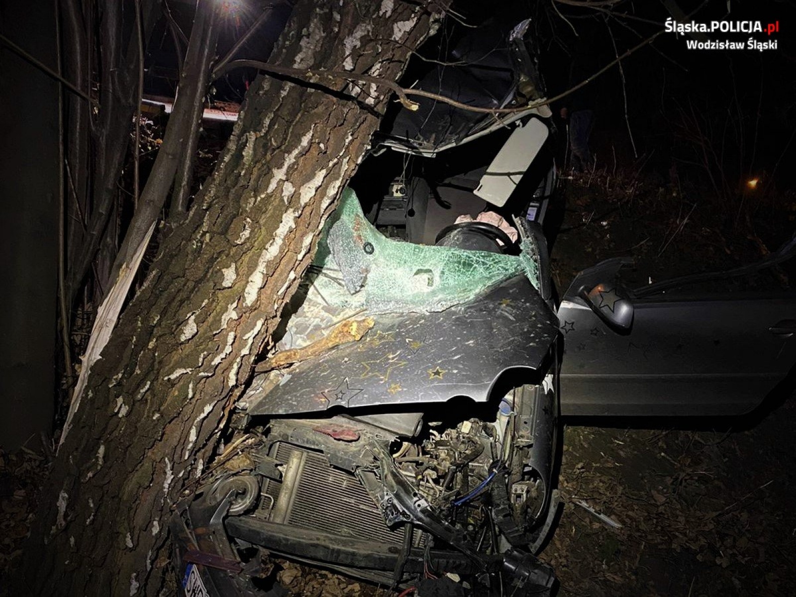 Zdjęcie w galerii na portalu naszwodzislaw.com: Jechał za szybko, uderzył w drzewo wiadomości z regionu