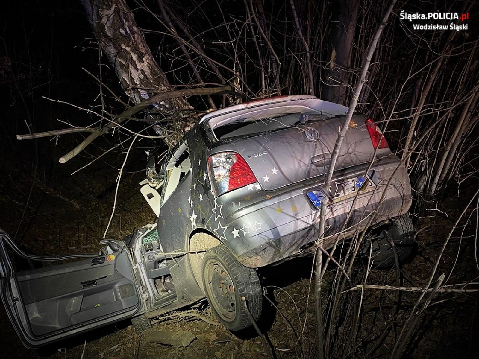 Zdjęcie w galerii na portalu naszwodzislaw.com: Jechał za szybko, uderzył w drzewo wiadomości z regionu